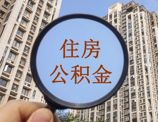 上海被单位开除多久可以取公积金（被开除后多久能取公积金）